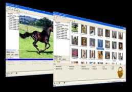 filebuzz.com Mesee