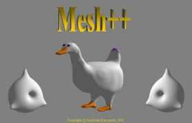Meshes