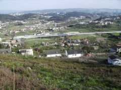 Mesio
