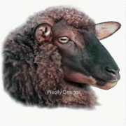 Mesis