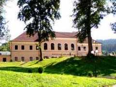Mestanov