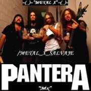 coolchaser.com Metalica