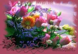 sardenbergpoesias.com.br Metamorfose