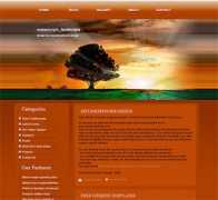 metamorphozis.com Metamorph