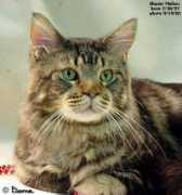 Methos