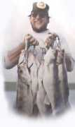 walleye.net Mewal