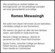 mensenlinq.nl Mewasingh