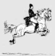 lipizzanernetz.de Mezair