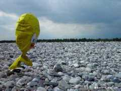 assiemeperiltagliamento.org Mezzolo