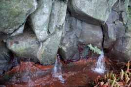 cvarg.azores.gov.pt Mgas