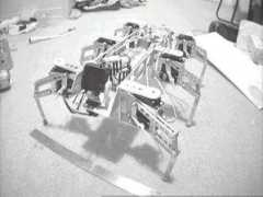 arrickrobotics.com Mhex