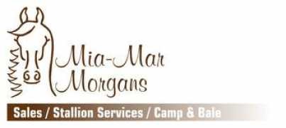 miamarmorgans.ca Miamar