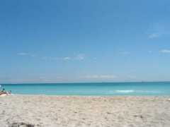 jpatrickwhite.com Miamibeach