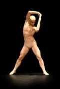 networkdance.com Miccolis