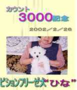 Miccy
