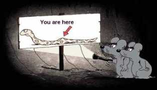 Mice