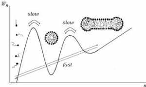 stat.phys.spbu.ru Micelly