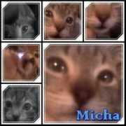 Micha