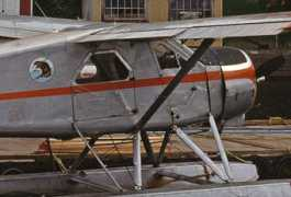 dhc-2.com Michaeil