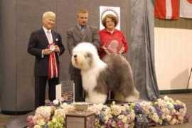 bobtail.ru Michaelanne