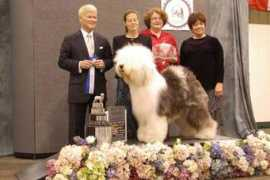 bobtail.ru Michaelanne