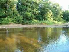 michalin.pl Michalin