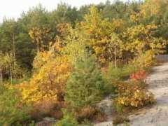 michalin.pl Michalin