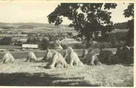 zs.stachy.cz Michalov