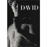 book.39world.com Michelangel