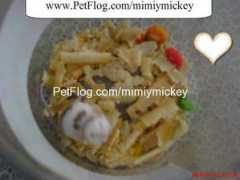 petflog.com Mickeey
