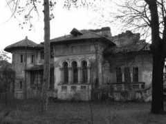 panoramio.com Miclescu