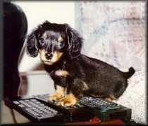 dease.net Microb
