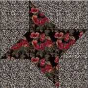 countryjunktion.com Midnightstar