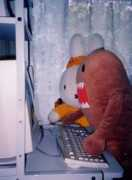 Miffie