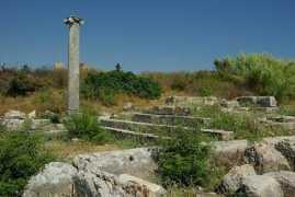 Migol