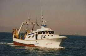 peixdesantapola.com Migon
