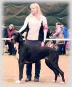 anxiousdanes.com Miitta