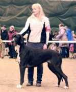 anxiousdanes.com Miitta