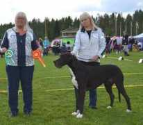 anxiousdanes.com Miitta