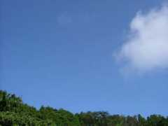 Mikaku