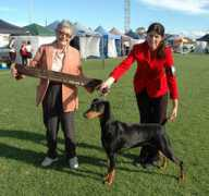 helencatherinecramer.com Mikelli