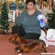 petsby.com Mikelskas