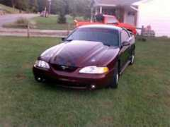 mustangworld.com Mikeman
