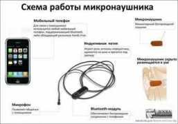 donetskboard.com.ua Mikronaushnik