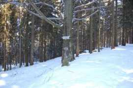 panoramio.com Milenia