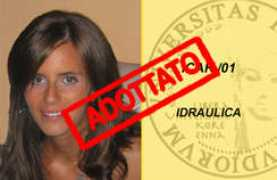 adottaunricercatorekore.it Milici