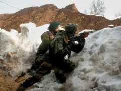 oneindia.com Militant