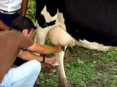fuzzytravel.com Milkin