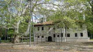 panoramio.com Milosev