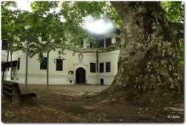 panoramio.com Milosev